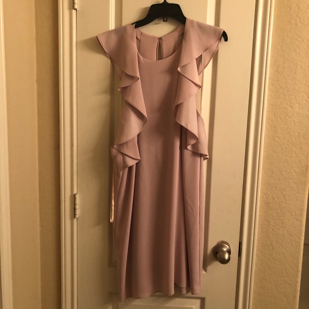 Blush BCBG cocktail dress